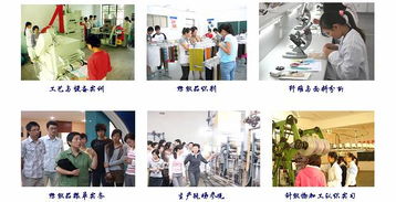 對(duì)外技術(shù)服務(wù)與培訓(xùn) 提升企業(yè)核心競(jìng)爭(zhēng)力的雙輪驅(qū)動(dòng)